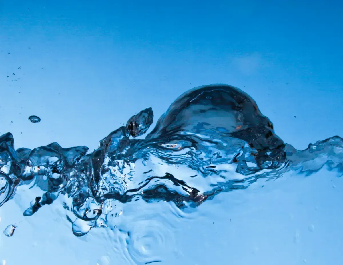 A ripple of water causing turbulance.webp