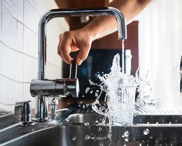 Premium water filtration system